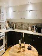 College/Dundas and University Area Basement Apartment - Photo 8