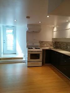 College/Dundas and University Area Basement Apartment - Photo 9