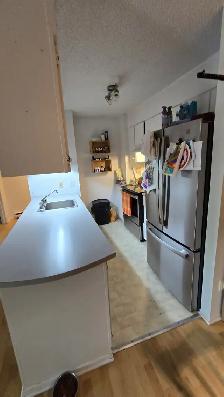 Grand logement 4 et demi à Mont-St-Hilaire, libre le 1er aout - Photo 3