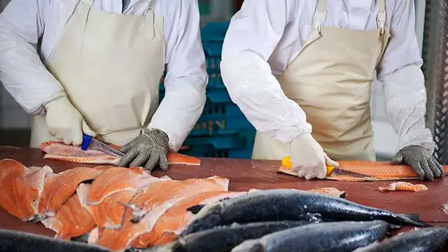 Fish cutter - Morning Shift- start at 4 am