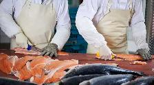 Fish cutter - Morning Shift- start at 4 am