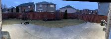 Durham rooms for rent Oshawa, Whitby, Ajax, Pickering  Scarborou - Photo 2