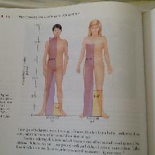 NUTRITION – Science and Applications    -Large  Paperback - Photo 6