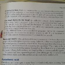NUTRITION – Science and Applications    -Large  Paperback - Photo 7
