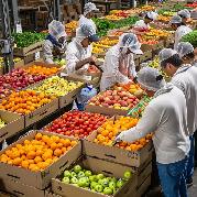 General labour - Regrader-Mississauga