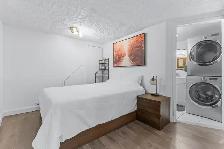 CLEAN/BRIGHT 3 1/2 APARTMENT IN ANJOU - Photo 7