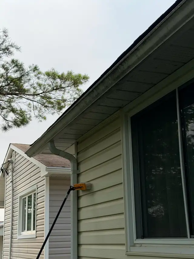 Windows and Eaves Cleaning services