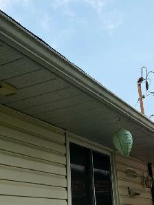 Windows and Eaves Cleaning services - Photo 3