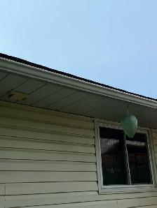 Windows and Eaves Cleaning services - Photo 4