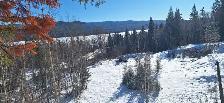 BEAUTIFUL 5.17 ACRE PROPERTY WITH AMAZING VIEWS AT TABOR LAKE - Photo 10