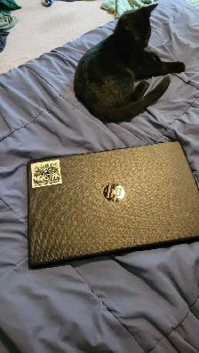 Like New HP Laptop 15-FD0098CA - Photo 2