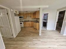 2 Bedroom Basement Apartment of House in New Sudbury - Photo 8