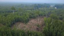mulching service and more - Photo 2