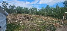 mulching service and more - Photo 3