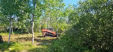 mulching service and more - Photo 5