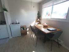 Beautiful Renovated 2-Bedroom Apartment - Photo 6