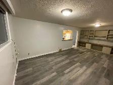 3 Bedroom  Lower Level House in Adelaide/Churchill Area - Photo 4