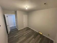 3 Bedroom  Lower Level House in Adelaide/Churchill Area - Photo 7