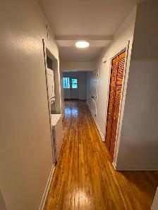 3 1/2 à louer - La Petite -Patrie- 1100$/mois- Electro inclus - Photo 6