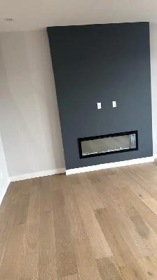 professional painter - Photo 5