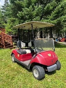 Golf Cart Yamaha Gas - Photo 4