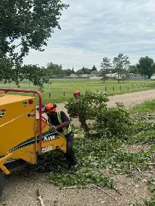 Tree service Labourers - Photo 2
