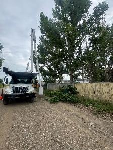 Tree service Labourers - Photo 3