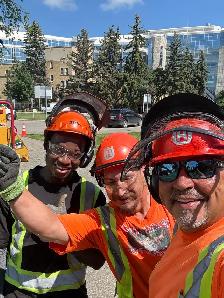 Tree service Labourers - Photo 4
