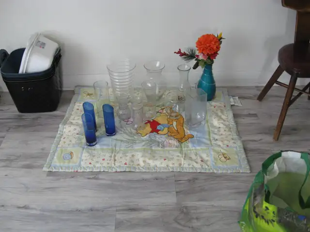 Glass Flower Vase Collection
