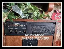 Rare, Legendary Vintage KOSS CM1030 Tower Speakers - Photo 2