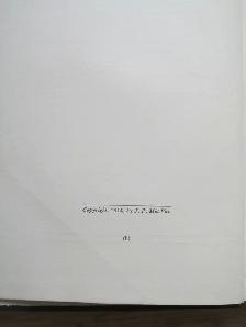 PICTONIANS AT HOME AND ABROAD by Rev J.P. Macphie - 1914 HC - Photo 3