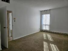 Stunning Luxury Condo in Desirable Tuxedo - Photo 12