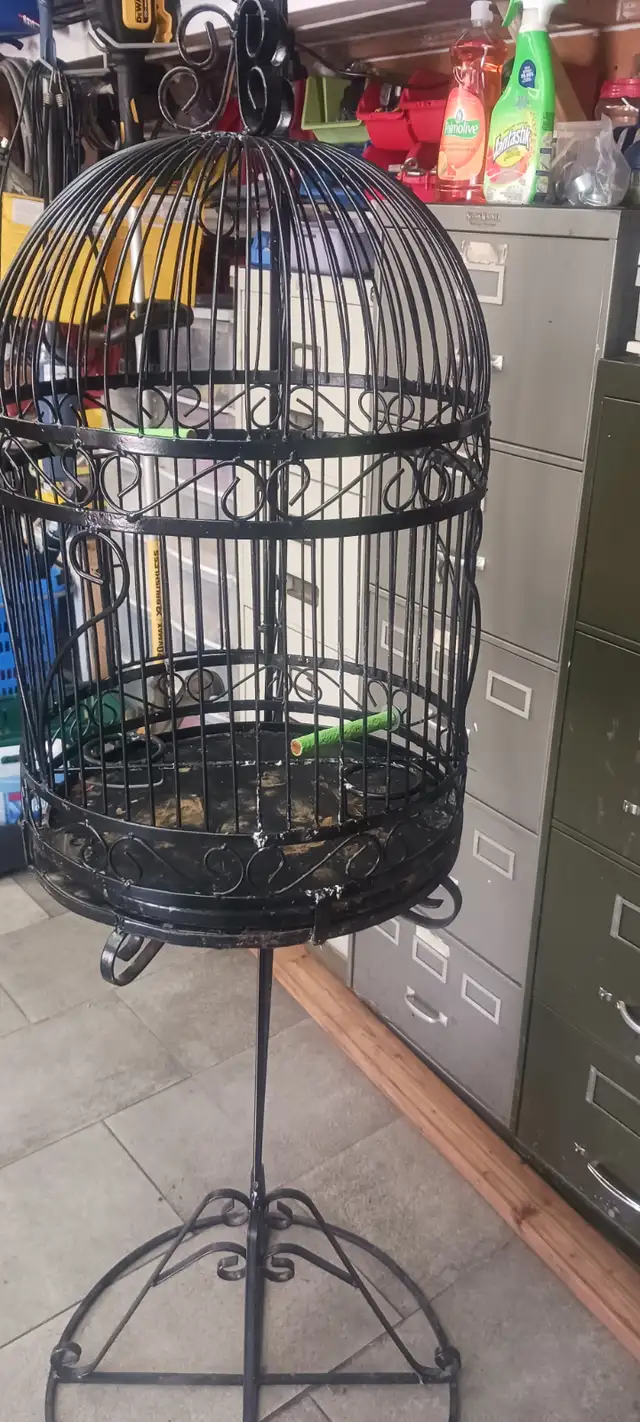 cage a oiseau