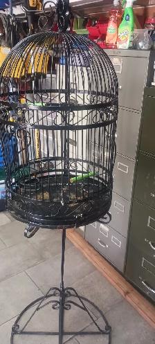 cage a oiseau