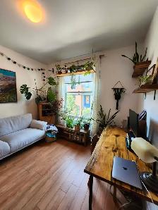 Plateau logement 5 ½ (1000pi²) / 2000$ - Photo 7