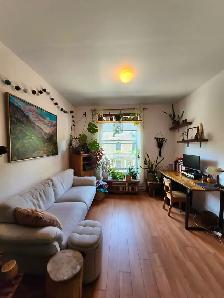 Plateau logement 5 ½ (1000pi²) / 2000$ - Photo 9