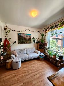 Plateau logement 5 ½ (1000pi²) / 2000$ - Photo 10