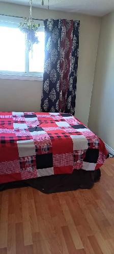 house rent - Photo 6