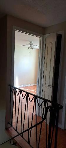 house rent - Photo 7