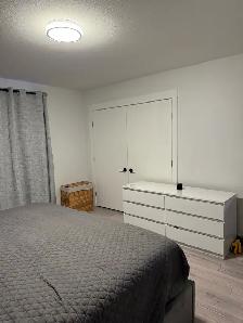 Available September 1 – Modern 3-Beds, 2.5-Bath For Rent - Photo 10