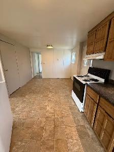 3 bedroom 1  bath house for rent in Oakbank - Photo 6