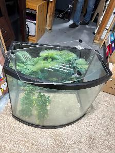Aquarium - Photo 2
