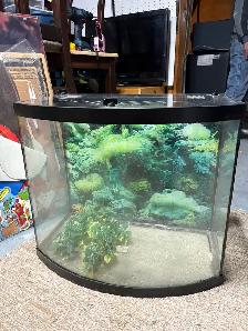 Aquarium - Photo 3