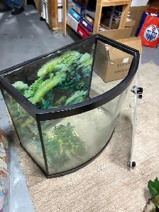 Aquarium - Photo 5