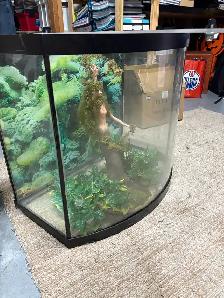 Aquarium - Photo 6