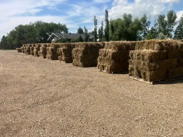 Selling Acreage Need Good Quality Hay Bales Gone:  $8.00 Each
