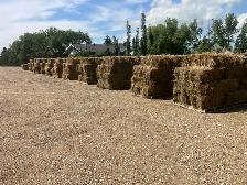 Selling Acreage Need Good Quality Hay Bales Gone:  $8.00 Each