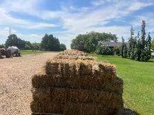 Selling Acreage Need Good Quality Hay Bales Gone:  $8.00 Each - Photo 2