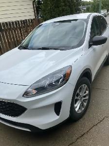 2022 Ford Escape Se - Photo 2