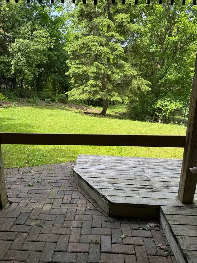 Walk-Out Basement for Rent